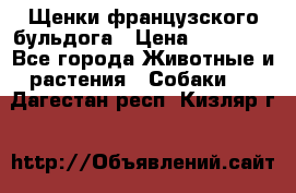 Щенки французского бульдога › Цена ­ 30 000 - Все города Животные и растения » Собаки   . Дагестан респ.,Кизляр г.